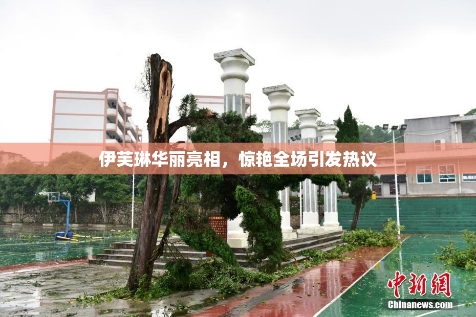 伊芙琳华丽亮相，惊艳全场引发热议
