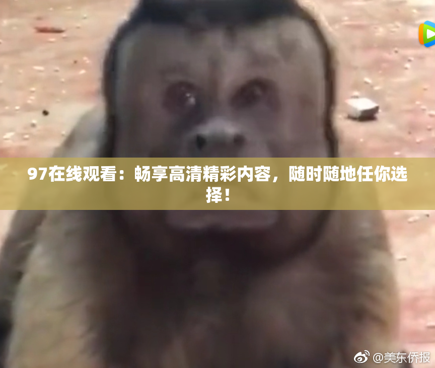 97在线观看：畅享高清精彩内容，随时随地任你选择！
