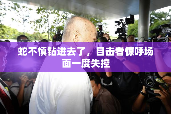 蛇不慎钻进去了，目击者惊呼场面一度失控