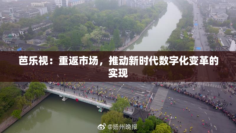 芭乐视：重返市场，推动新时代数字化变革的实现