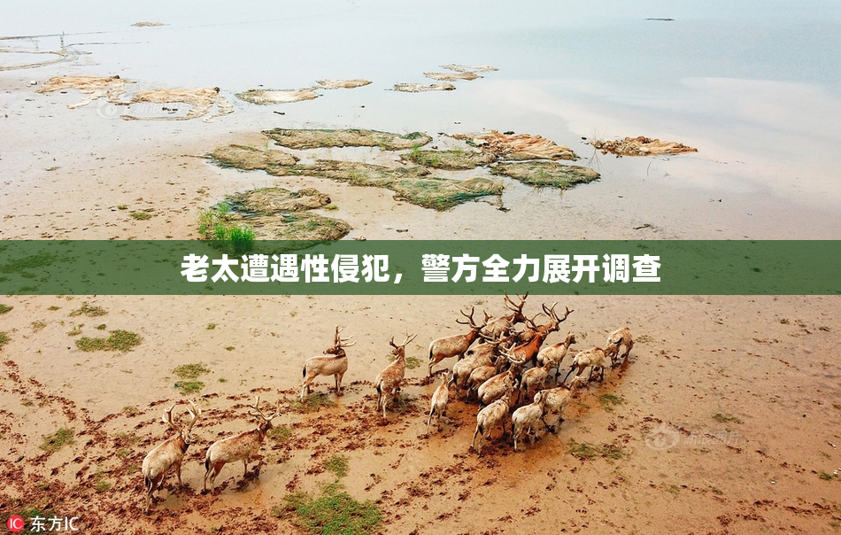 老太遭遇性侵犯，警方全力展开调查