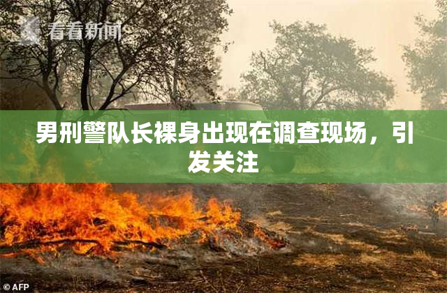男刑警队长裸身出现在调查现场，引发关注