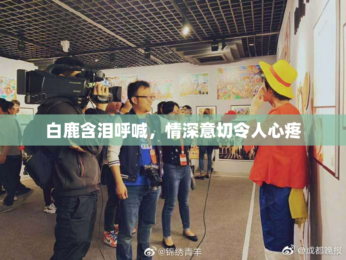 白鹿含泪呼喊，情深意切令人心疼
