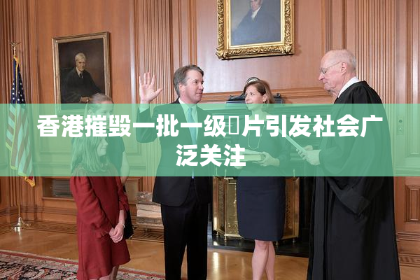 香港摧毁一批一级婬片引发社会广泛关注