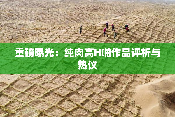 重磅曝光：纯肉高H啪作品评析与热议