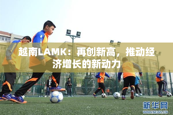 越南LAMK：再创新高，推动经济增长的新动力