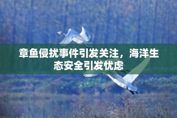 章鱼侵扰事件引发关注，海洋生态安全引发忧虑