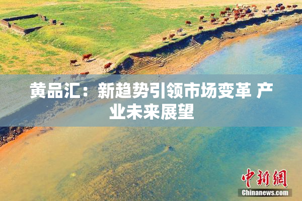 黄品汇：新趋势引领市场变革 产业未来展望