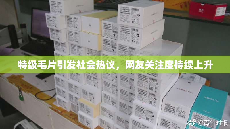 特级毛片引发社会热议，网友关注度持续上升