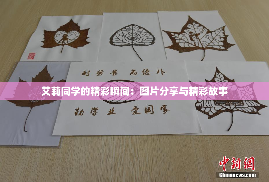 艾莉同学的精彩瞬间：图片分享与精彩故事