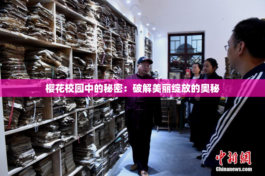 樱花校园中的秘密：破解美丽绽放的奥秘