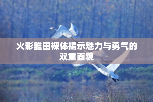 火影雏田裸体揭示魅力与勇气的双重面貌