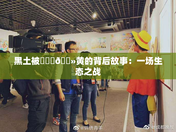 黑土被❌‌‌🐻黄的背后故事：一场生态之战