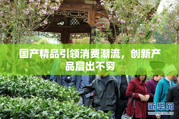 国产精品引领消费潮流，创新产品层出不穷