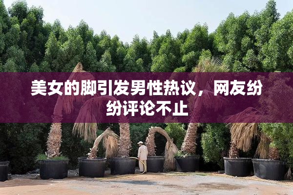 美女的脚引发男性热议，网友纷纷评论不止