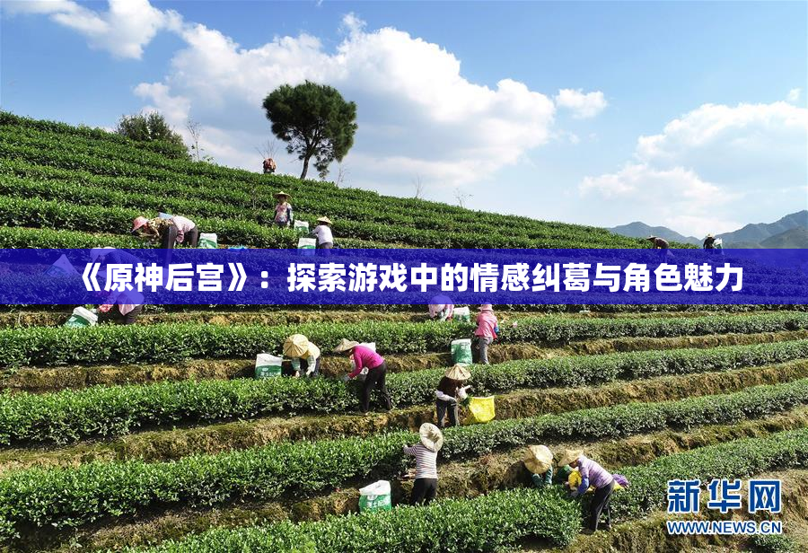 《原神后宫》：探索游戏中的情感纠葛与角色魅力