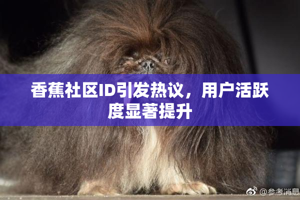 香蕉社区ID引发热议，用户活跃度显著提升