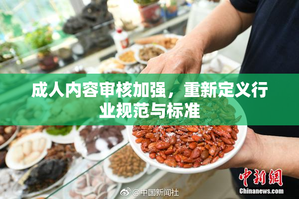 成人内容审核加强，重新定义行业规范与标准