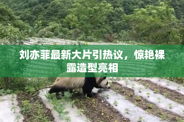 刘亦菲最新大片引热议，惊艳裸露造型亮相