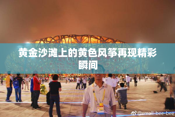 黄金沙滩上的黄色风筝再现精彩瞬间