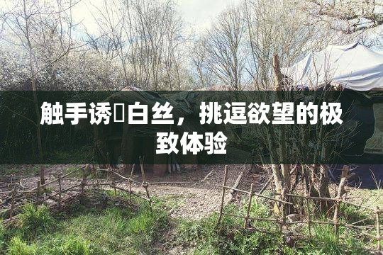 触手诱奷白丝，挑逗欲望的极致体验