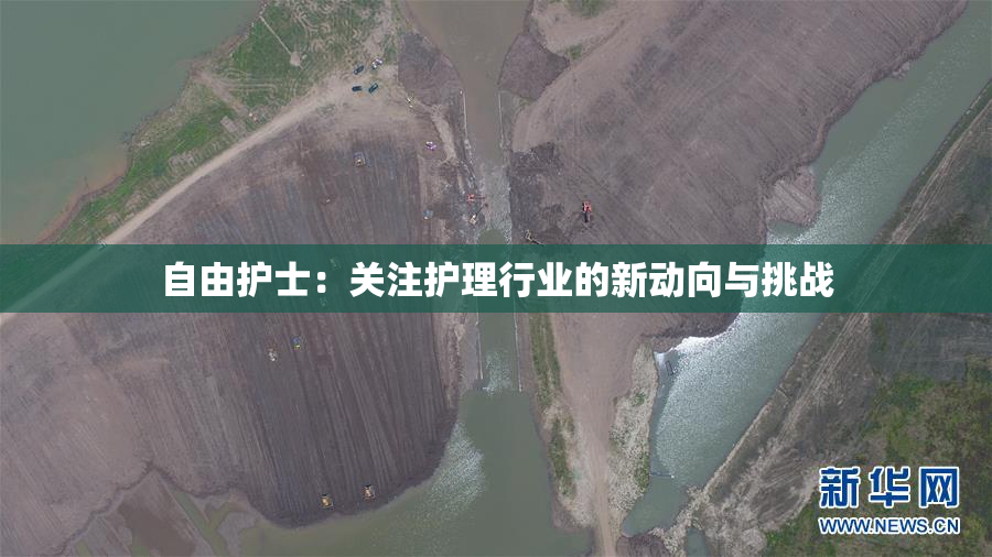 自由护士：关注护理行业的新动向与挑战