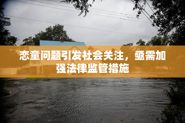 恋童问题引发社会关注，亟需加强法律监管措施