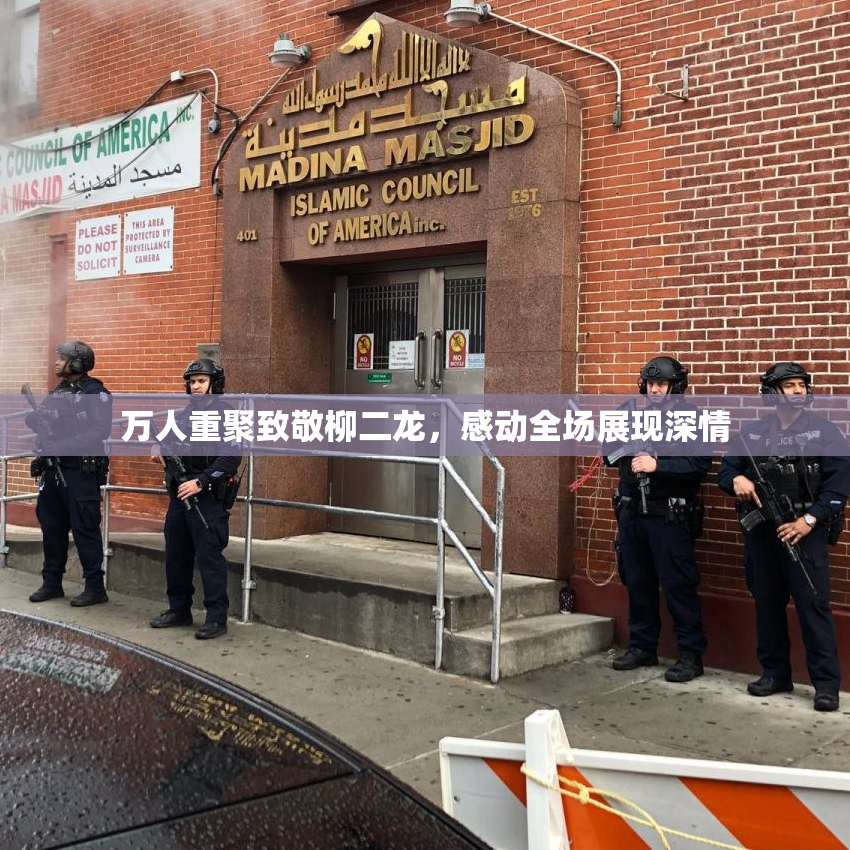 万人重聚致敬柳二龙，感动全场展现深情