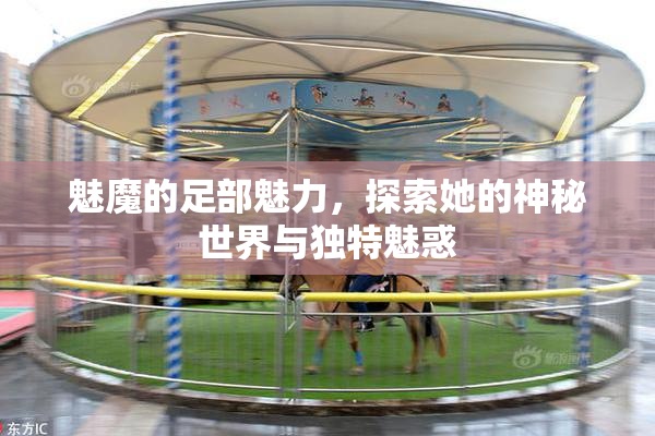 魅魔的足部魅力，探索她的神秘世界与独特魅惑