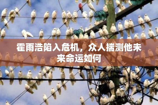 霍雨浩陷入危机，众人揣测他未来命运如何