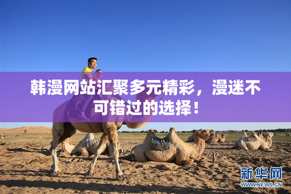 韩漫网站汇聚多元精彩，漫迷不可错过的选择！