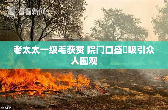 老太太一级毛获赞 院门口盛況吸引众人围观