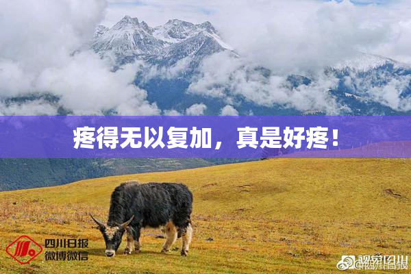 疼得无以复加，真是好疼！