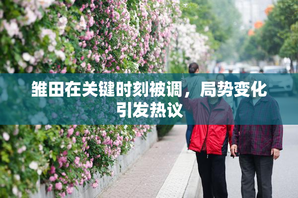 雏田在关键时刻被调，局势变化引发热议