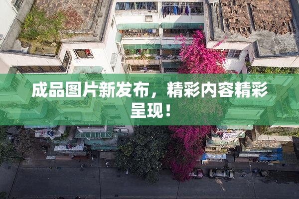 成品图片新发布，精彩内容精彩呈现！