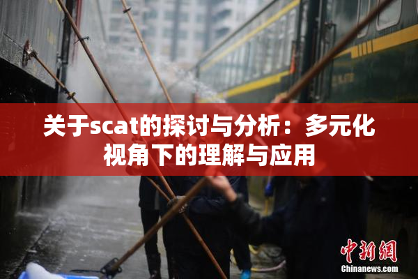 关于scat的探讨与分析：多元化视角下的理解与应用