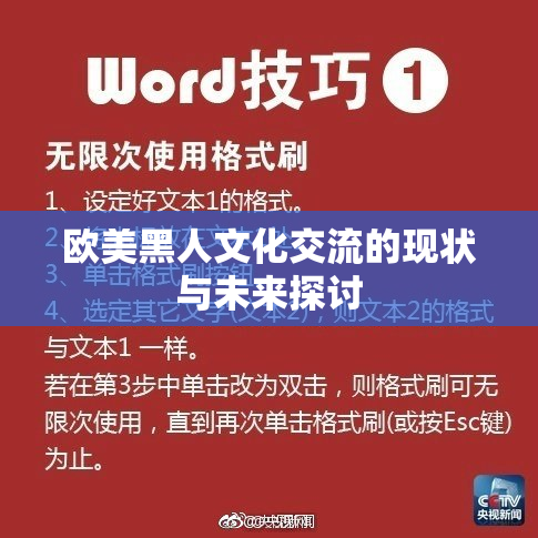 欧美黑人文化交流的现状与未来探讨