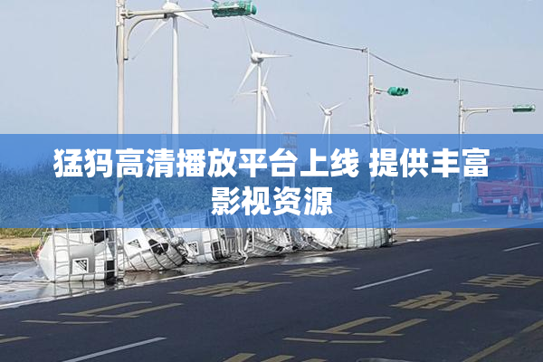 猛犸高清播放平台上线 提供丰富影视资源