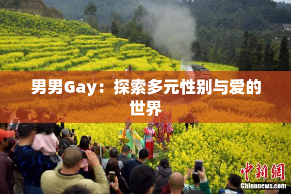 男男Gay：探索多元性别与爱的世界