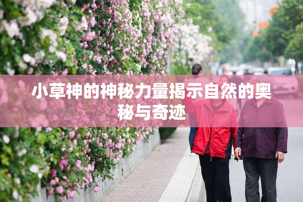 小草神的神秘力量揭示自然的奥秘与奇迹