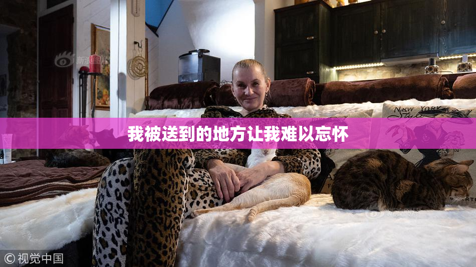 我被送到的地方让我难以忘怀