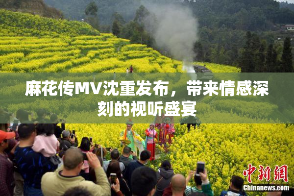 麻花传MV沈重发布，带来情感深刻的视听盛宴
