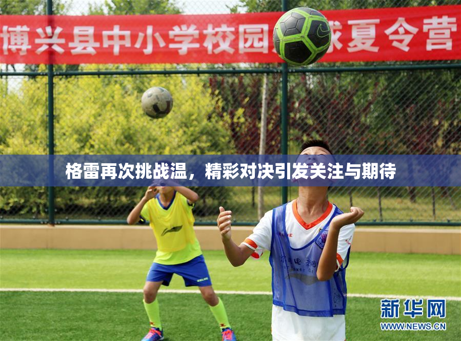 格雷再次挑战温，精彩对决引发关注与期待