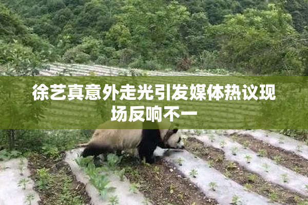 徐艺真意外走光引发媒体热议现场反响不一