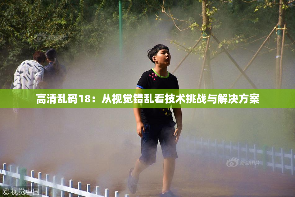 高清乱码18：从视觉错乱看技术挑战与解决方案