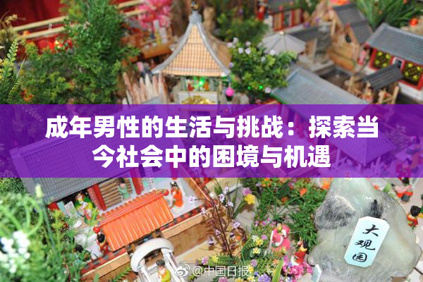 成年男性的生活与挑战：探索当今社会中的困境与机遇