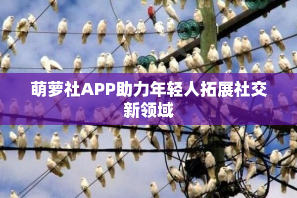 萌萝社APP助力年轻人拓展社交新领域