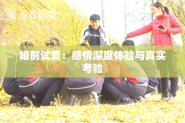 婚前试爱：感情深度体验与真实考验