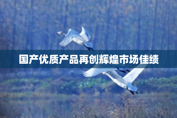 国产优质产品再创辉煌市场佳绩
