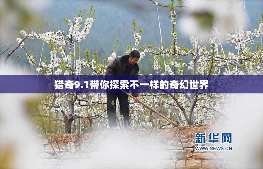 猎奇9.1带你探索不一样的奇幻世界